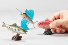 株式会社フェバリットのプレスリリース画像7