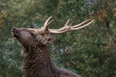 和漢シンカ研究所株式会社のプレスリリース画像1