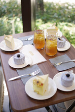 和漢シンカ研究所株式会社のプレスリリース画像1