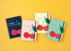 株式会社デルフォニックスのプレスリリース画像2