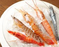 株式会社ニラクのプレスリリース画像4