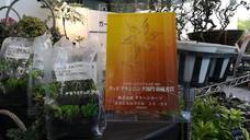 株式会社グリーンルーツのプレスリリース