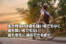 株式会社シャムヴェラファイのプレスリリース画像1