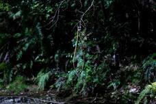 キンミライガッキ現代支部のプレスリリース画像2