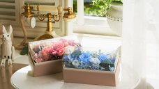 株式会社muku.のプレスリリース画像1