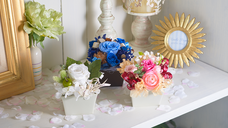 株式会社muku.のプレスリリース画像1