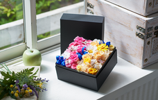 株式会社muku.のプレスリリース画像1