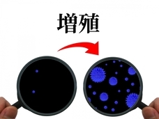 合同会社EMIトレーディングのプレスリリース画像4