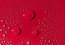 合同会社EMIトレーディングのプレスリリース画像3