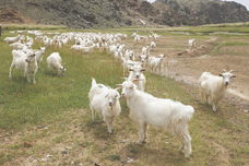 ホリゾン株式会社のプレスリリース画像1