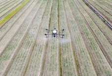 株式会社D.I.Gのプレスリリース画像2