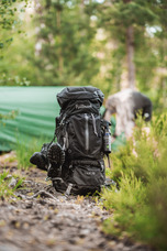 株式会社D.I.Gのプレスリリース画像2