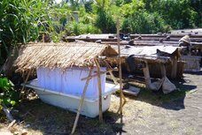 PT ティルナノーグ サーフ クエストのプレスリリース画像8