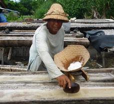 PT ティルナノーグ サーフ クエストのプレスリリース画像4