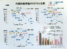 PT ティルナノーグ サーフ クエストのプレスリリース画像9