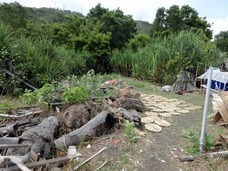 PT ティルナノーグ サーフ クエストのプレスリリース画像7