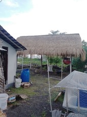 PT ティルナノーグ サーフ クエストのプレスリリース画像8