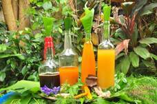 PT ティルナノーグ サーフ クエストのプレスリリース画像8