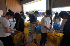 学校法人大和学園のプレスリリース画像2