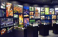 学校法人大和学園のプレスリリース画像3