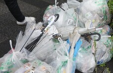 学校法人大和学園のプレスリリース画像2