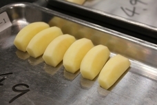 学校法人大和学園のプレスリリース画像8