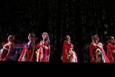 六本木金魚のプレスリリース画像7