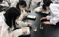 芝浦工業大学のプレスリリース画像1