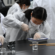 芝浦工業大学のプレスリリース画像1