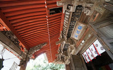 芝浦工業大学のプレスリリース画像1