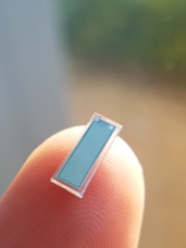 イリカのプレスリリース画像2