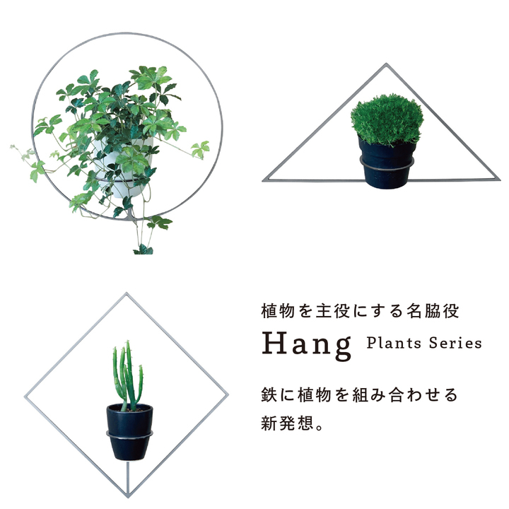 鉄と植物を組み合わせる新発想。人気のHangシリーズに2021年新商品が登場！