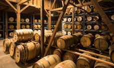 株式会社リプロネクストのプレスリリース画像1