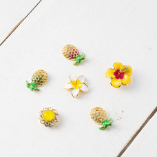 株式会社クラニージャパンのプレスリリース画像3