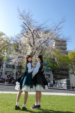 合同会社イマジンのプレスリリース画像2