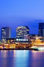 and SONS合同会社のプレスリリース画像14