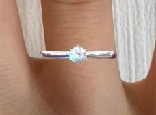 サンビジュウのプレスリリース画像5