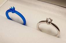 サンビジュウのプレスリリース画像3