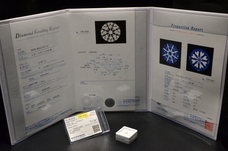 サンビジュウのプレスリリース画像3