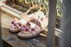 株式会社卑弥呼のプレスリリース画像6