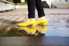 株式会社卑弥呼のプレスリリース画像5