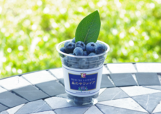 株式会社 未来農業計画のプレスリリース画像2