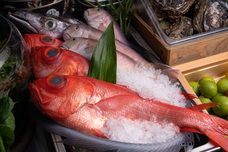 有限会社河太郎のプレスリリース画像5