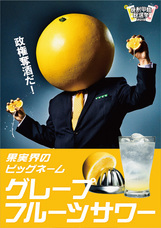 日本蒸留酒酒造組合のプレスリリース画像3