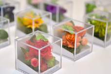 フリーランスPRのプレスリリース画像3