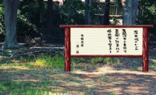 個別指導ワンツーレッスンのプレスリリース画像4