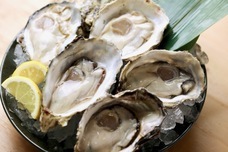 株式会社JCP/新宿屋台村のプレスリリース画像7