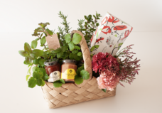 株式会社ユー花園のプレスリリース画像1