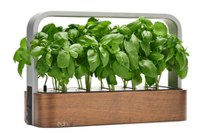 株式会社ユー花園のプレスリリース画像1