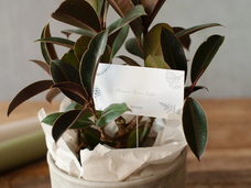 株式会社ユー花園のプレスリリース画像3